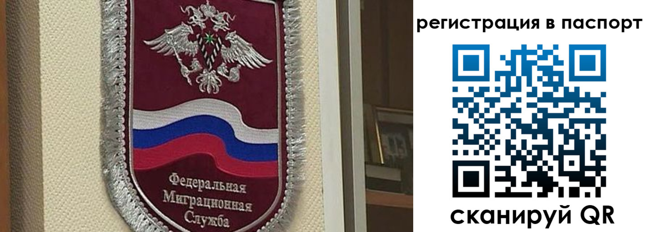 прописка законно в Боровичах